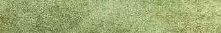 Summer Peshauri | Olive Suede