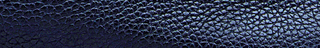 Summer Peshauri | Deep Blue Leather