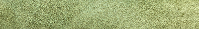 Summer Peshauri | Olive Suede