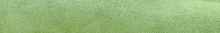 Nagra Mule Tassel | Canary Green Suede