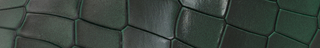 Jutti | Forest Green Croco Leather